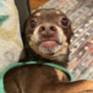 Meet your Posher, Gianna